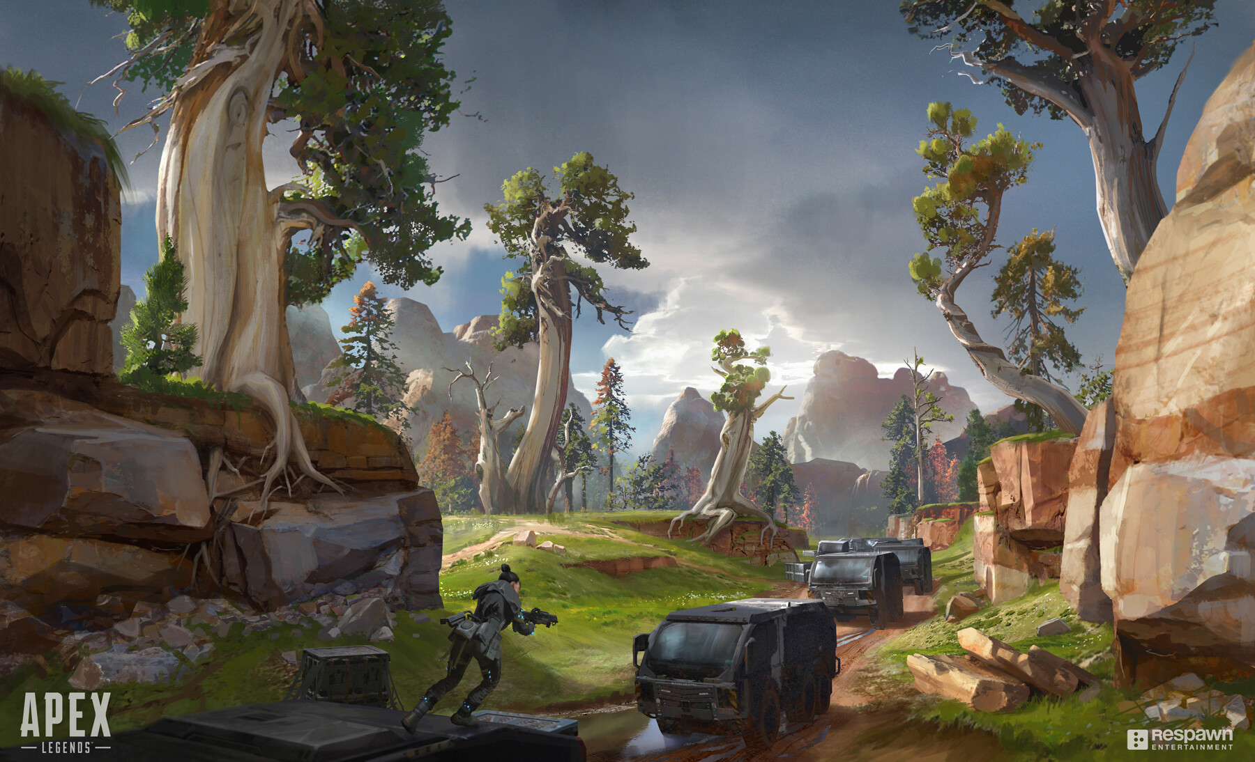 国产球员最 国产球员最