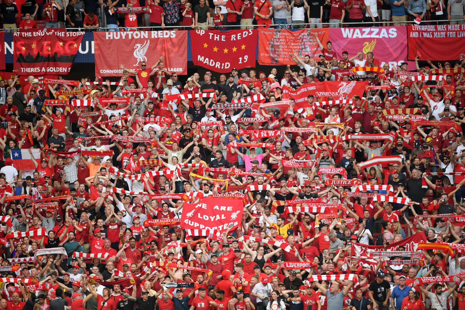 在洛杉矶他 在洛杉矶他